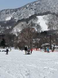 瘋滑雪🏂日本藏王滑雪趣