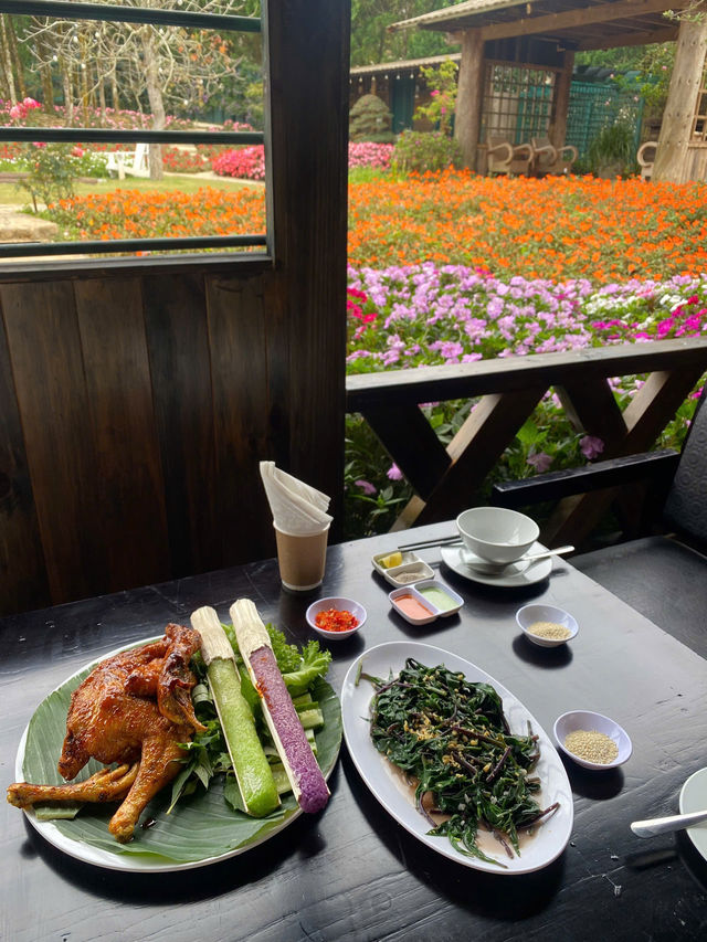 Savoring Grilled Chicken and Bamboo Rice