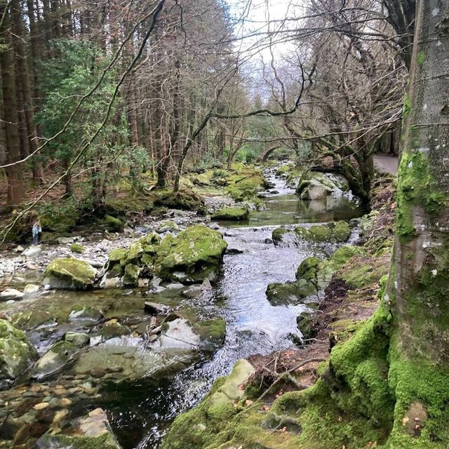 Tollymore Forest Park (Northern Ireland)