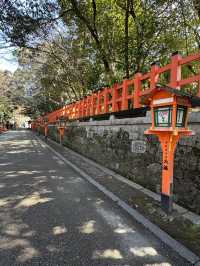 Kyoto 🇯🇵: Temples, Culture, Historical and Timeless