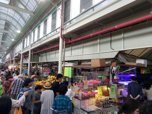 濟州東門市場之旅