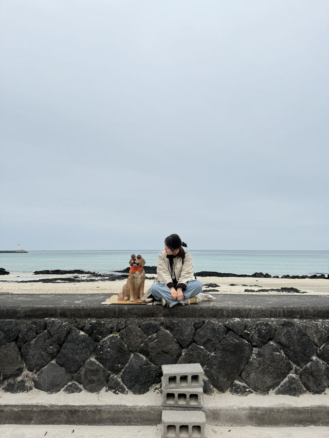 세화 해변, 제주 동쪽의 에메랄드빛 힐링 스팟 🌊✨