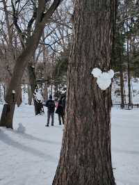 札幌春雪~圓山公園與北海道神宮