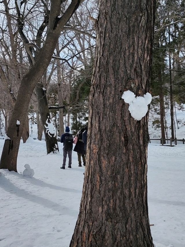 札幌春雪~圓山公園與北海道神宮