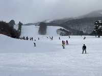 หนีร้อนไปเล่นสโนบอร์ดที่ Inwashiro Snow Paradise