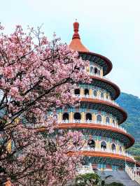 Chasing Sakura G Wuji Tianyuan Temple