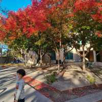 Exploring Stanford University: A Must-Visit Destination