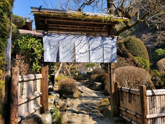 [🇯🇵奥多摩] 奥多摩の街の魅力と自然の静けさ