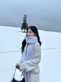 🌟【北海道美瑛聖誕樹】冬季必去的夢幻景點！✨