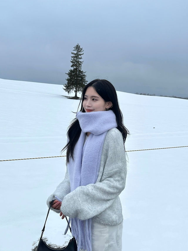 🌟【北海道美瑛聖誕樹】冬季必去的夢幻景點！✨