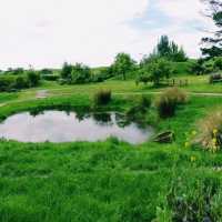 Step Into a Fairytale: Exploring Hobbiton in New Zealand