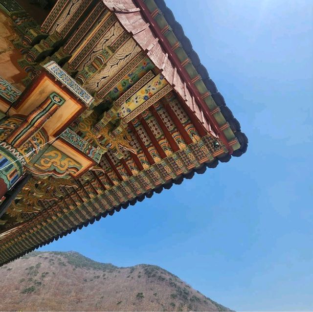 梵鱼寺樱花