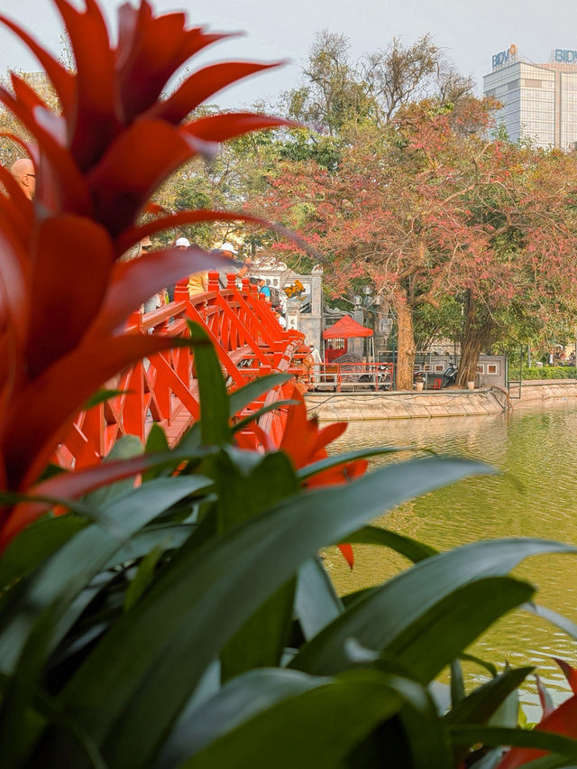  🇻🇳 Hanoi: The Contrasts of Spring Weather 🌤☁️  