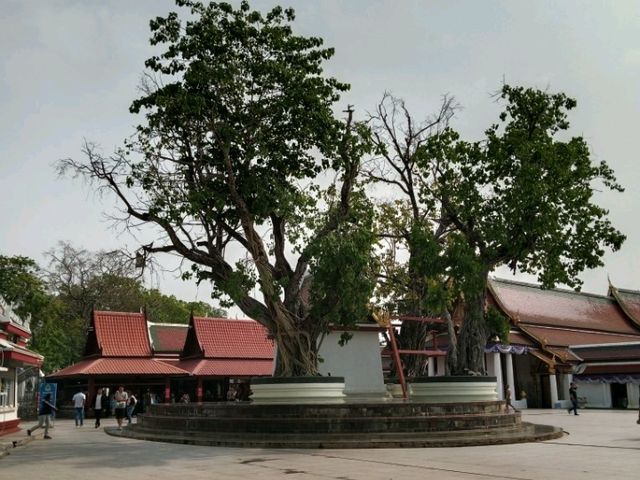 ไหว้พระขอพร วัดพระศรีรัตนมหาธาตุ