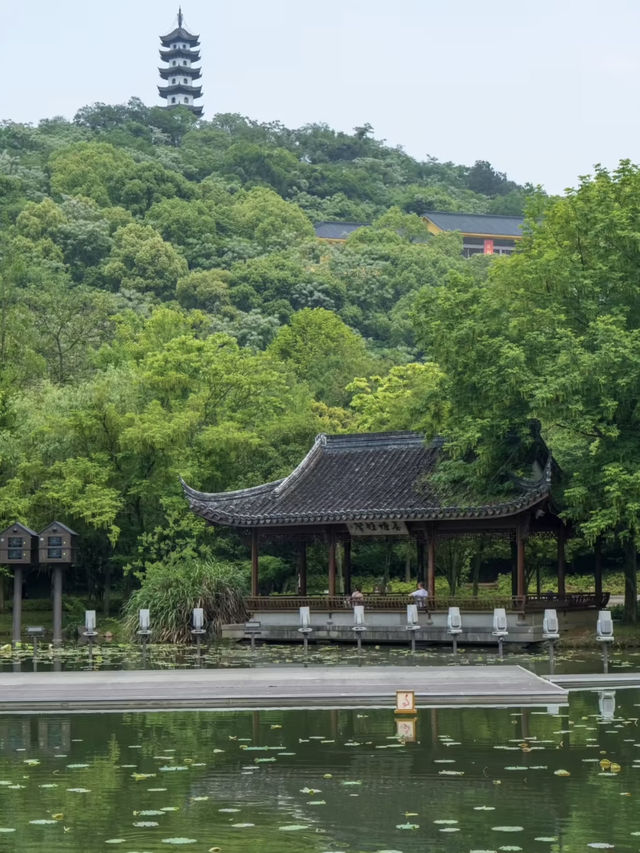 Visit the Hometown of Xishi: A Complete Travel Guide 🏞️🌸