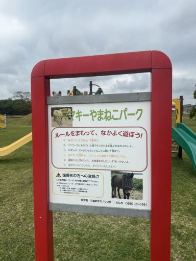 西表島でヤマネコと遊ぶ！？「ンママキーやまねこパーク」でほっこり
