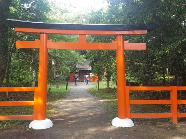 [🇯🇵京都] 緑に包まれる癒しの時間―京都府立植物園で感じる自然の息吹