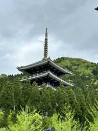 【福井×越前大仏】日本一の五重塔