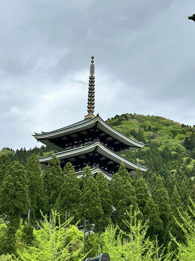 【福井×越前大仏】日本一の五重塔