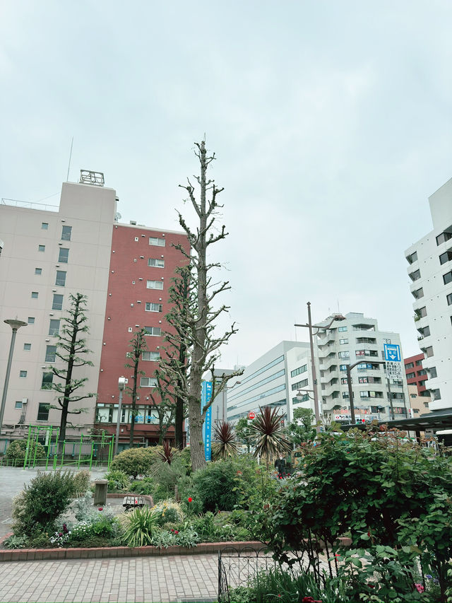 東京｜東陽町一日遊 🌸