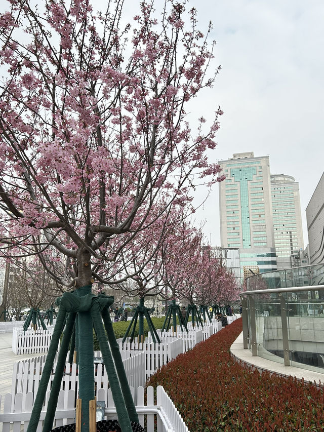 Pretty In Pink Outside Dream Plaza, Wuhan