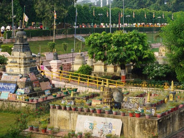 🇮🇳 摩訶菩提寺🛕佛陀在此菩提樹下成道