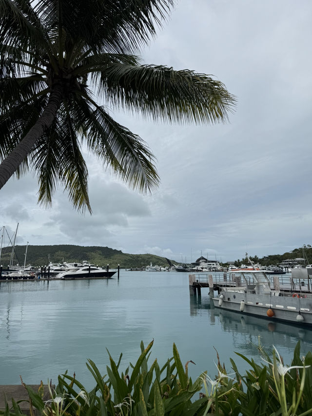 Day Trip to Hamilton Island