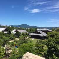 走進二条城，穿越回幕府時代的歷史現場