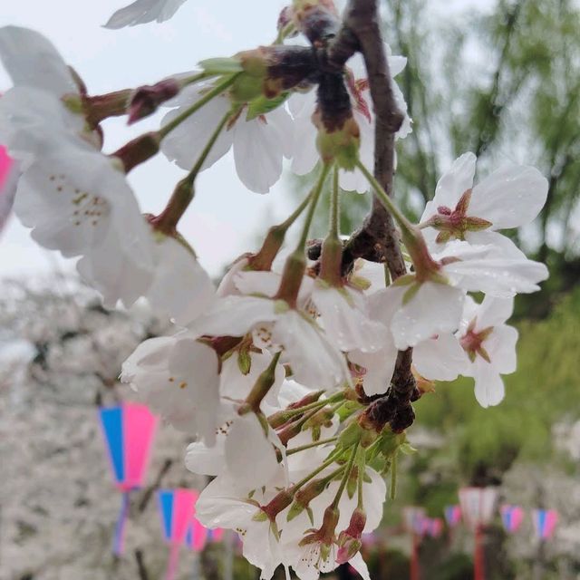 Mobara Park, Chiba