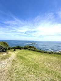 【千葉】360°パノラマ絶景スポット 荒波に侵食されたリアス式海岸