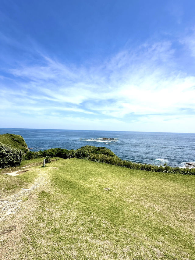 【千葉】360°パノラマ絶景スポット 荒波に侵食されたリアス式海岸