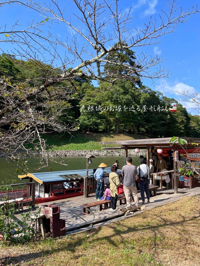 ひこにゃんで有名なお城🏯国宝 彦根城に行ってきた！