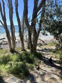 【Noosa National Park（ヌーサ国立公園）】