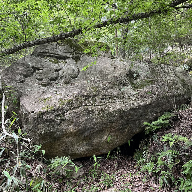 【金勝アルプス】⛰️　関西百名山〜鶏冠山・天狗岩・竜王山