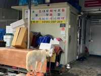 예산시장