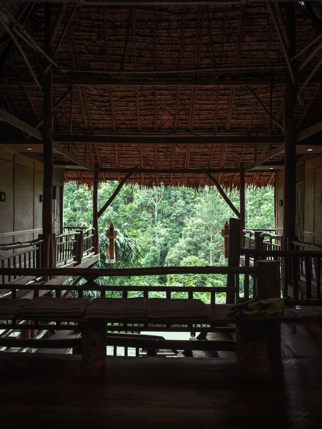 บ้านต้นไม้แม่แมะ โฮมสเตย์กลางป่าราคาหลักร้อย 🌲🛖🪵