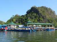 Kilim Karst Geoforest Park – Langkawi’s Mangrove Paradise** 🌿🦅