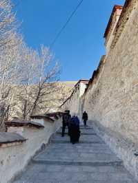 Am I Still on Earth? A Springtime Walk Through Drepung Monastery Feels Otherworldly!