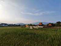 ทานอาหารท่ามกลาง วิวทุ่งนาเทือกเขาเรียงรายทอดยาว