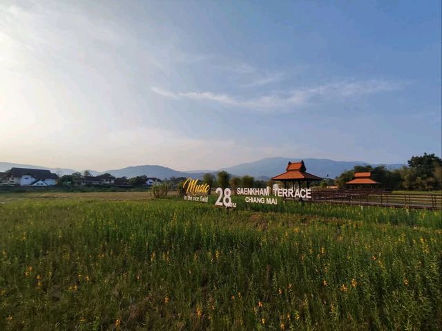 ทานอาหารท่ามกลาง วิวทุ่งนาเทือกเขาเรียงรายทอดยาว