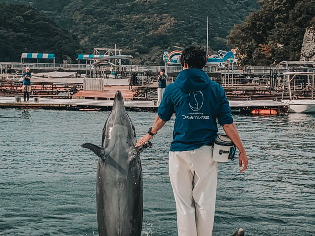 Swim with Dolphins in Kyushu: A One-Day Escape to Youra, Tsukumi