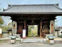 🇯🇵【香川県】四国八十八ヶ所霊場 第86番札所 志度寺
