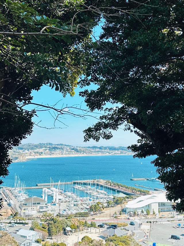 【 江ノ島観光 】 湘南の絶景を堪能🏝️✨