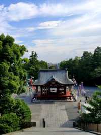 Tsurugaoka Hachimangū: Kamakura’s Cultural Heartbeat