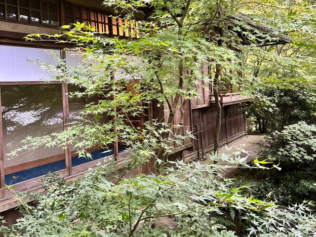 🇯🇵【京都】特別拝観期間だけ拝観できる！瑠璃光院！