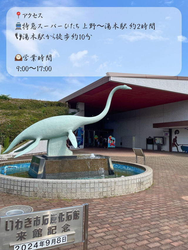 本物の化石に触れちゃう！？いわき市石炭・化石館ほるる