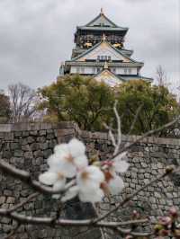 大阪城公園历史與自然的完美融合