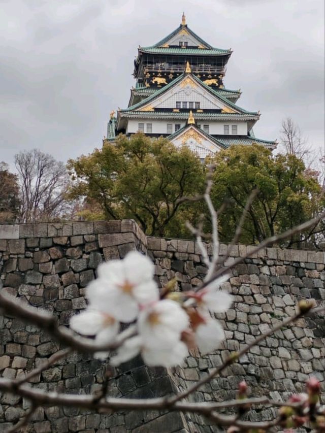 大阪城公園历史與自然的完美融合