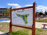 札幌農試公園，市民賞櫻踏青的農業試驗園區