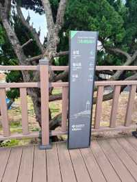 3 Days in Busan: Beaches, Street Food & Scenic Adventures – The Perfect Itinerary!